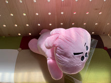 Load image into Gallery viewer, BTS plushies dolls B21 cute cushions