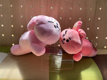 Load image into Gallery viewer, BTS plushies dolls B21 cute cushions