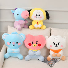 Load image into Gallery viewer, BTS plush dolls B21 cute cushions