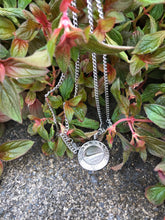 Load image into Gallery viewer, Hip-pop fashion necklace/earrings