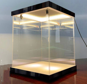 Display box