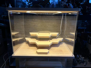 Display box
