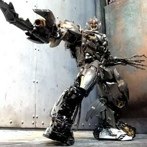 12 Transformers toys
 LS06
