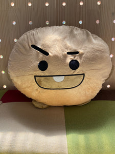 BTS plush dolls B21 cute cushions