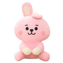Load image into Gallery viewer, BTS plush dolls B21 cute cushions
